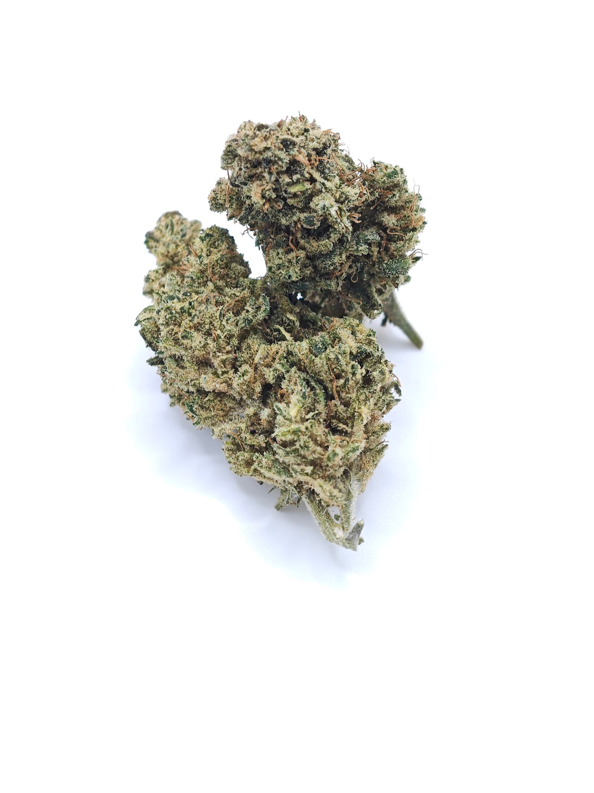 Tropical Kiwi CBD indoor