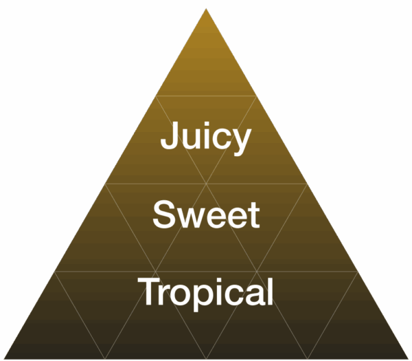 EYBNA terpeni ENHANCER LINE line CARIBBEAN PINEAPPLE