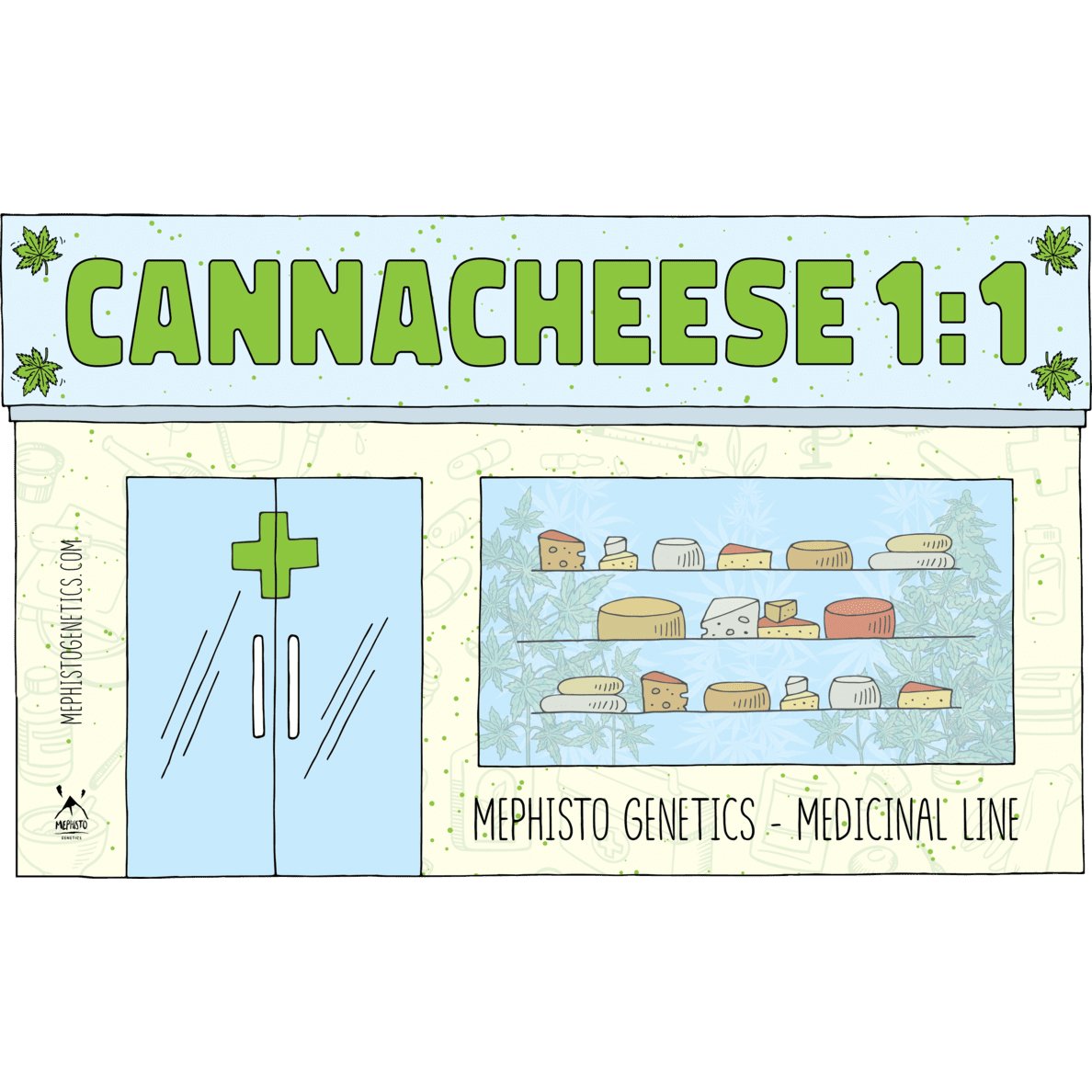 MEPHISTO GENETICS autofiorente CBD 1:1  Medicinal CANNA-CHEESE 3 semi + 2 semi free