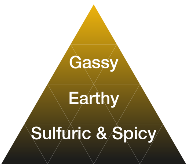 EYBNA terpeni ENHANCER LINE line - GARLIC NOTE