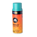 Bomboletta colore spray Molotow vuoto nascondiglio