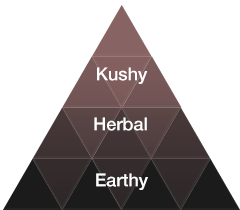 EYBNA terpeni ENHANCER LINE line - KUSH NOTE