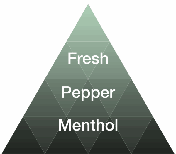 EYBNA terpeni ENHANCER LINE line FRESH MINT