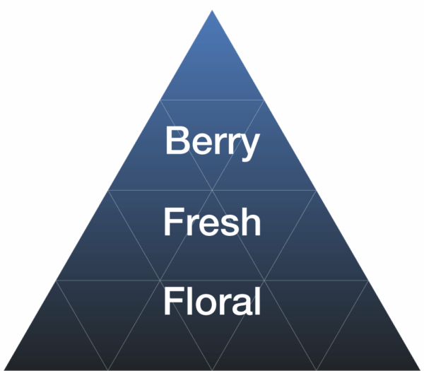 EYBNA terpeni ENHANCER LINE line - JUICY BLUEBERRY