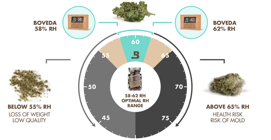 BOVEDA 62% TERPENE SHILD previene l'evaporazione dei terpeni