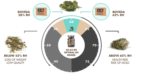BOVEDA 62% TERPENE SHILD previene l'evaporazione dei terpeni
