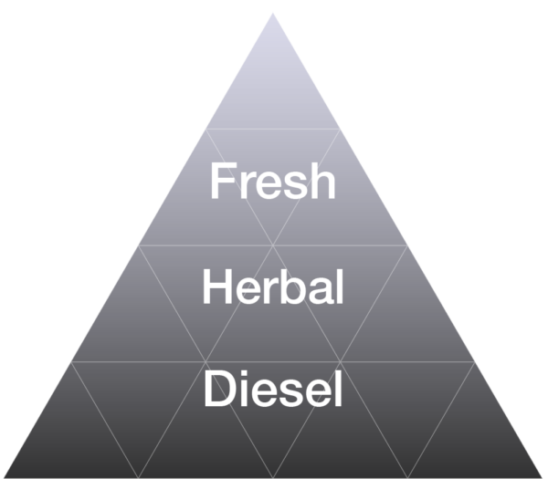 EYBNA terpeni ENHANCER LINE line - GAS NOTE