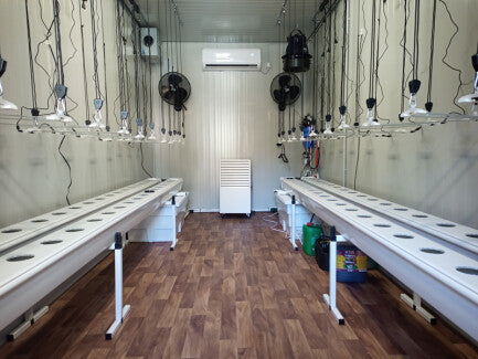 Sistema di coltivazione INDOORLINE- LABORATORIO PREFABBRICATO ALLESTIMENTO GS 80 PIANTE - IDROPONICO - 2 ALI 600X240X270h Cm