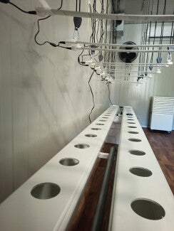 Sistema di coltivazione INDOORLINE- LABORATORIO PREFABBRICATO ALLESTIMENTO GS 80 PIANTE - IDROPONICO - 2 ALI 600X240X270h Cm
