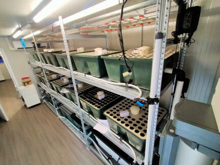 Sistema di coltivazione INDOORLINE- LABORATORIO PREFABBRICATO ALLESTIMENTO VERTICAL 1150 PIANTE - IDROPONICO - 3 LIVELLI  600X240X270h Cm