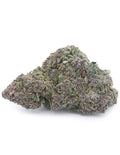 OG Kush CBD greenhouse