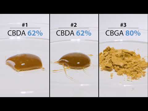 Black Leaf TUBO per ESTRAZIONI Dexso BHO