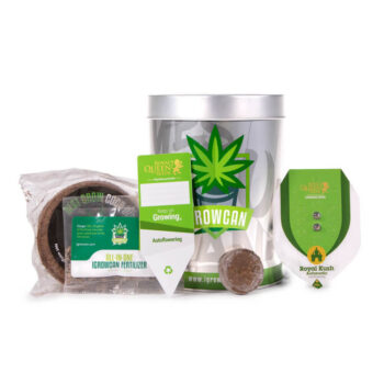 Royal Queen Seeds KIT di COLTIVAZIONE tutto in uno IGROWCAN