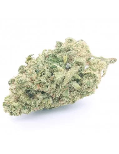 White Widow