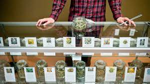 Kit Assaggio "CANNABINOIDS EXPERIENCE" alla GENOVAMAICANA