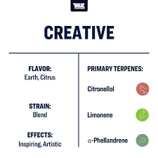 Terpeni linea Terpology by True Terpenes