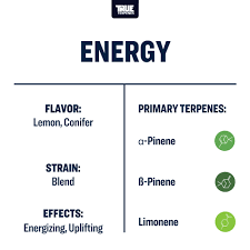 Terpeni linea Terpology by True Terpenes