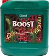 Stimolatore fioritura BOOST CANNA