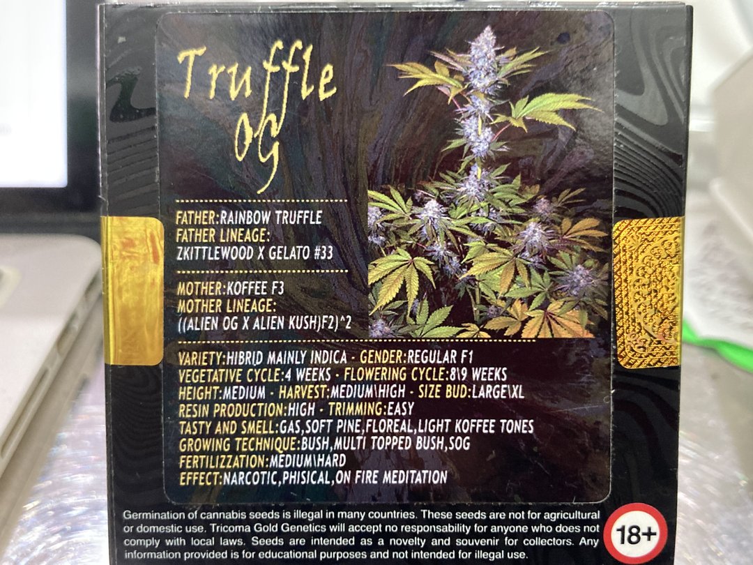 Indica male/female - TRUFFLE OG - Tricoma Gold Genetics