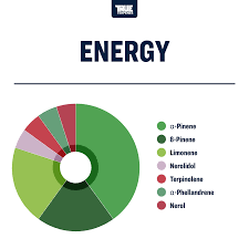 Terpeni linea Terpology by True Terpenes
