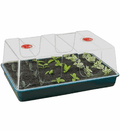 Serra HIGH DOME PROPAGATOR XL con prese d'aria