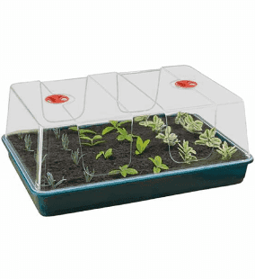 Serra HIGH DOME PROPAGATOR XL con prese d'aria