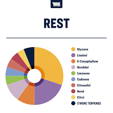 Terpeni linea Terpology by True Terpenes