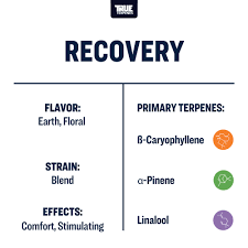 Terpeni linea Terpology by True Terpenes