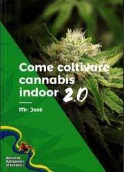 Indoor 2.0 di Mr. Josè